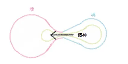 ツインレイの魂による精神が最初に戻っていく図