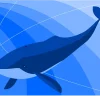 鯨ネットワーク・レイキ概要（Whale network reiki）