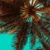 Thumbnail of post image 103