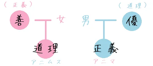 図の説明:男性と女性の違い