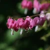 Thumbnail of post image 078
